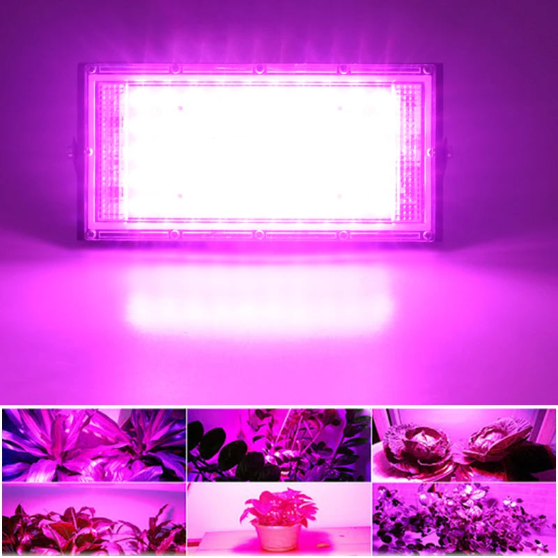 3Pcs/Lot LED Grow Light Lamp AC220V 50W LED Full Spectrum