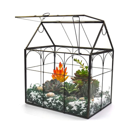 Hot Selling Orchid Succulent Cacti Terrarium Large Tall House