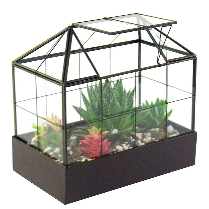 Indoor Tabletop Orchid Succulent Cacti Terrarium Kit Large