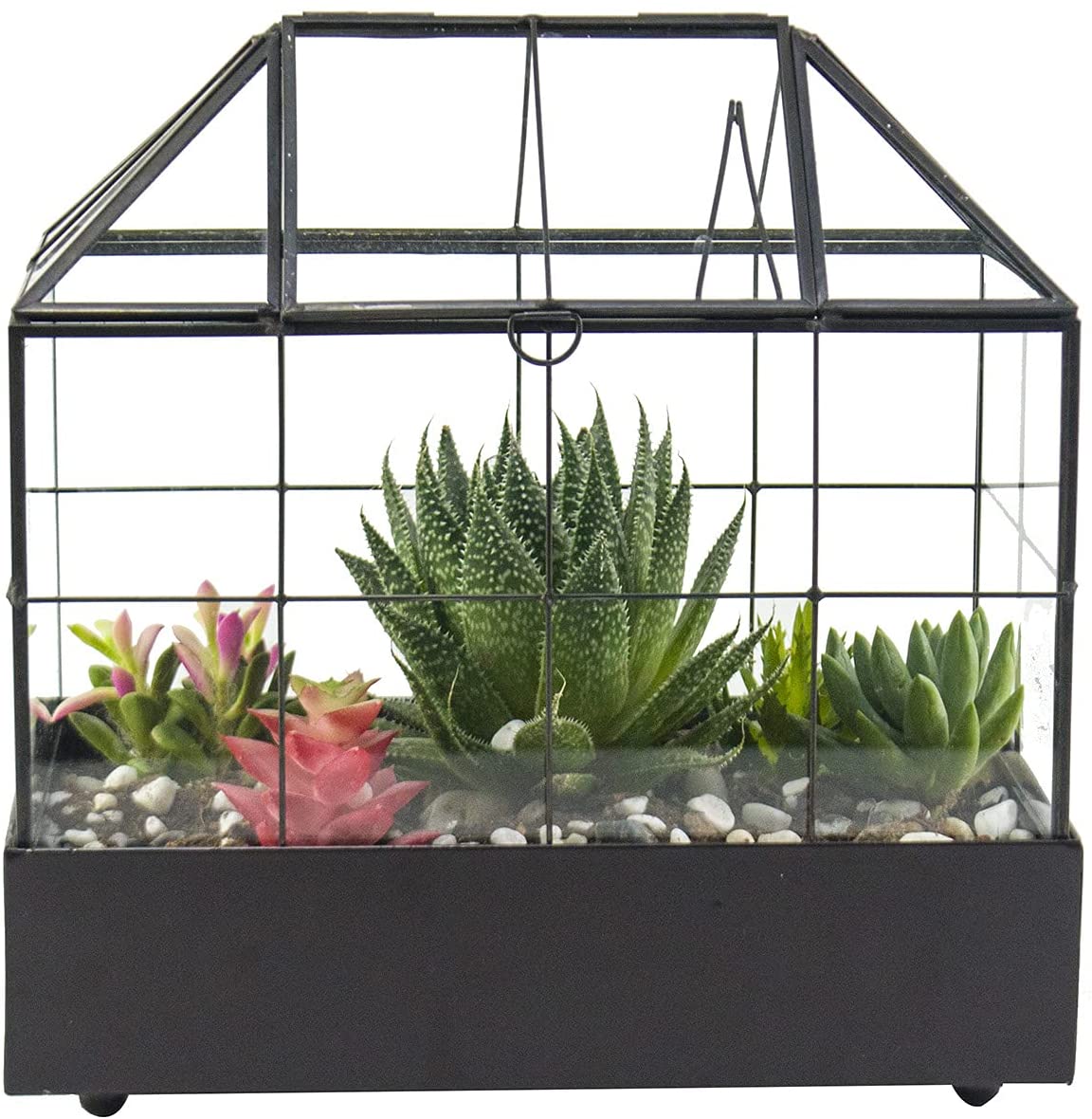 Indoor Tabletop Orchid Succulent Cacti Terrarium Kit Large