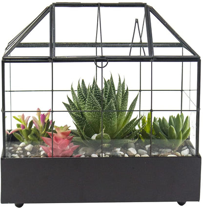 Indoor Tabletop Orchid Succulent Cacti Terrarium Kit Large