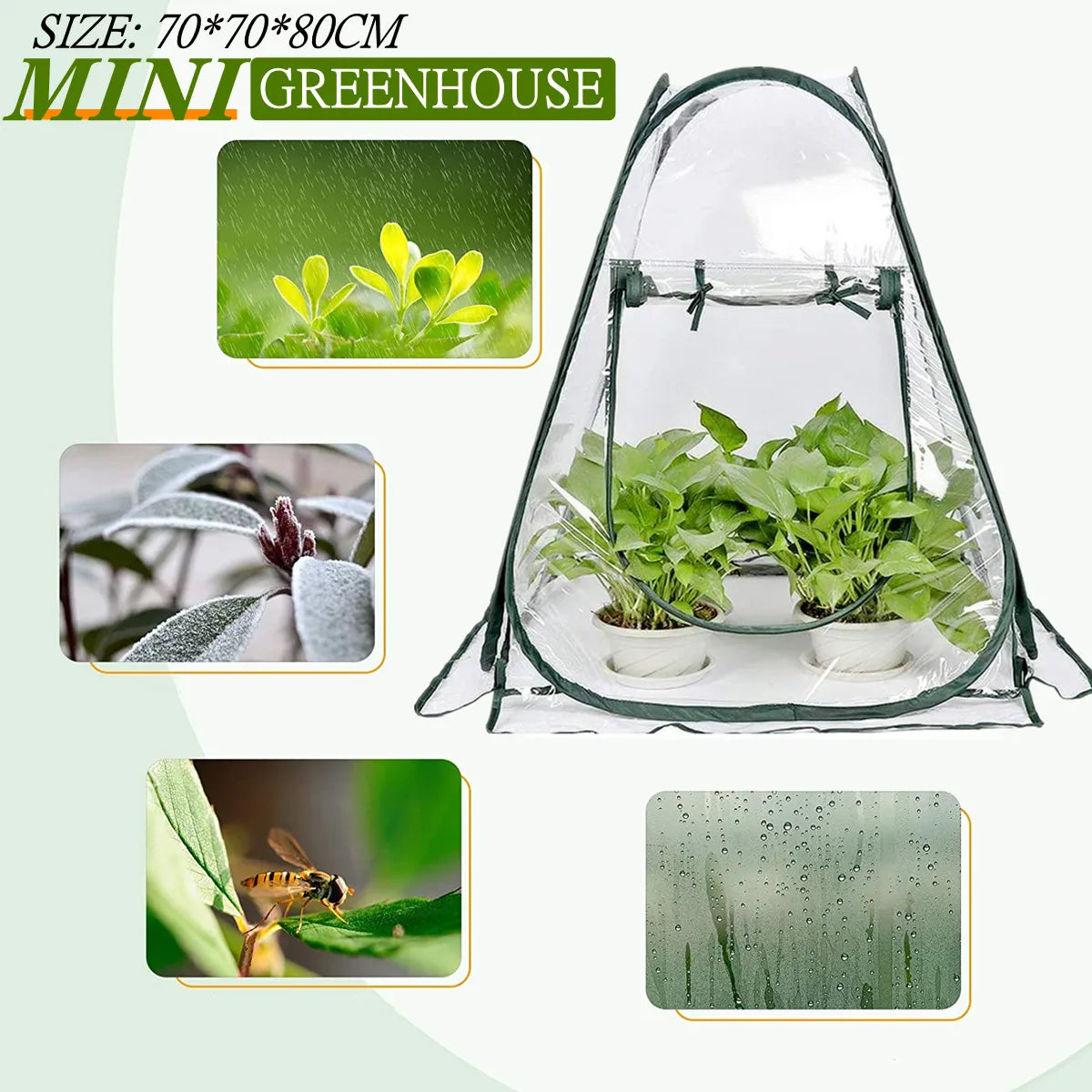 Pop-Up Small Greenhouse for Outdoor Indoor Plant