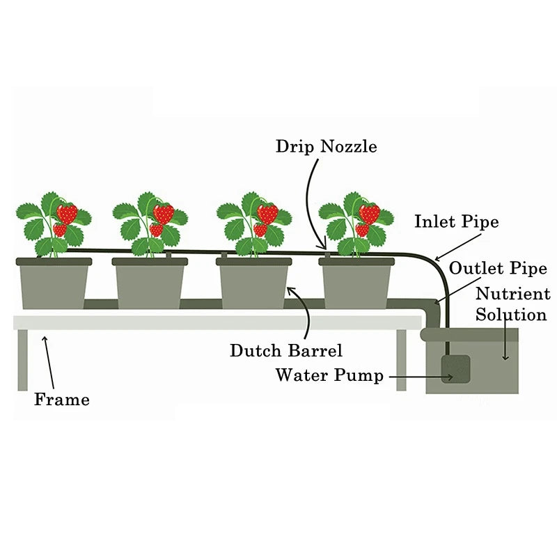 Greenhouse Soilless Cultivation Dutch Barrels Vegetable Fruit